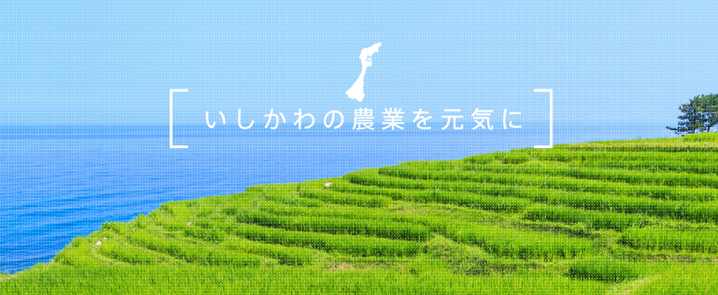 農業を元気に! いしかわ農業総合支援機構 農業を元気に! いしかわ農業総合支援機構
